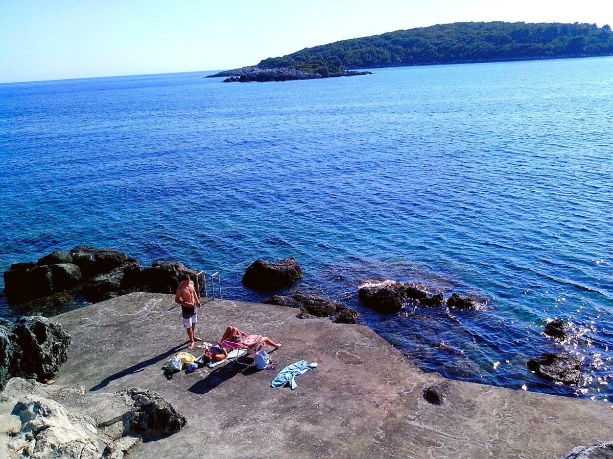 Villa Feral Molunat Εξωτερικό φωτογραφία