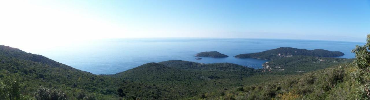 Villa Feral Molunat Εξωτερικό φωτογραφία