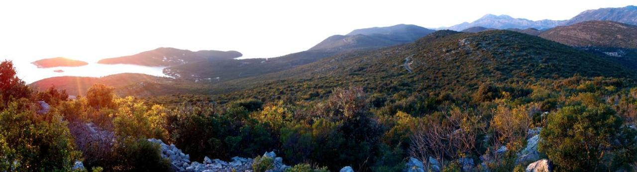 Villa Feral Molunat Εξωτερικό φωτογραφία